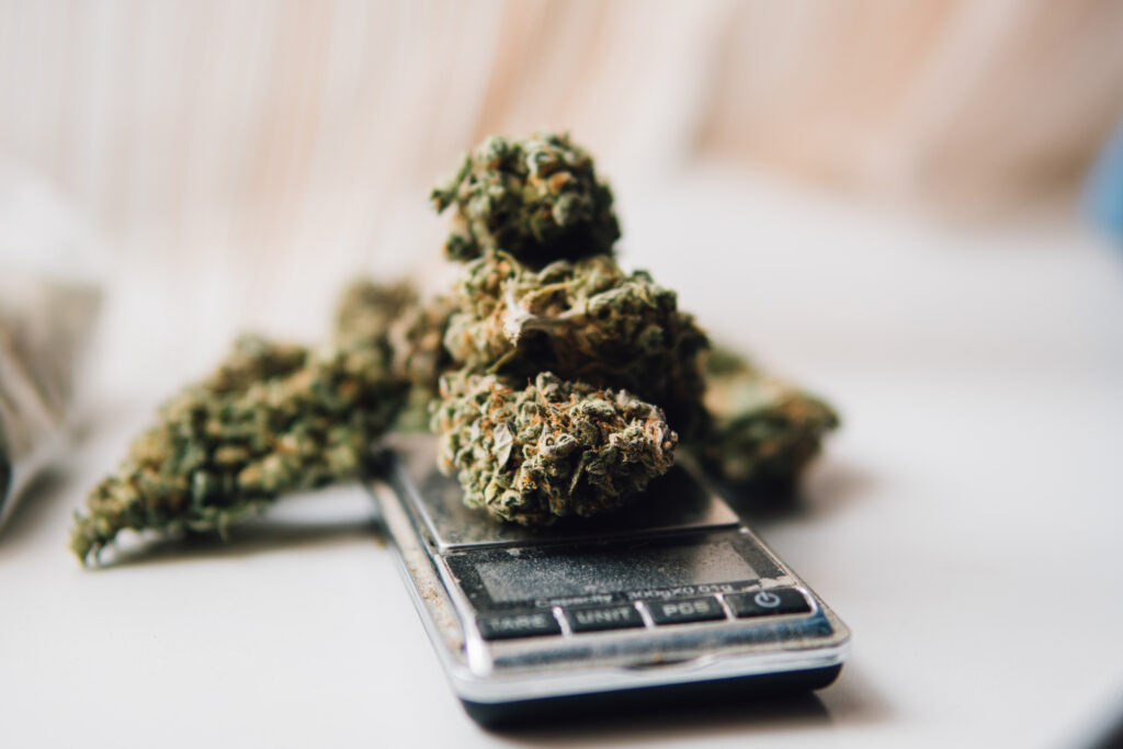 Cannabis buds placed on a digital scale, ready to weigh.
